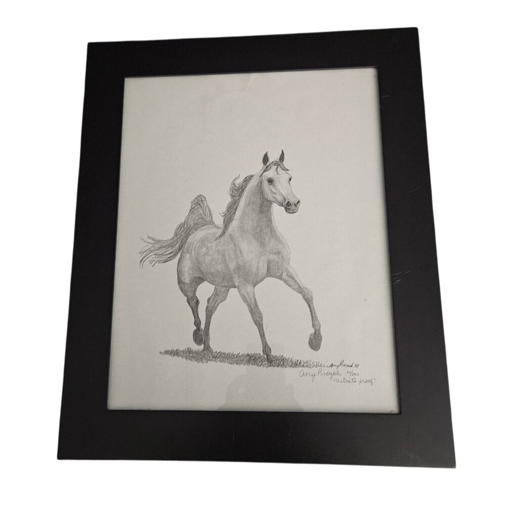 Amy Pirozok Signed Horse Print Artist Proof 22/250 Framed 1998